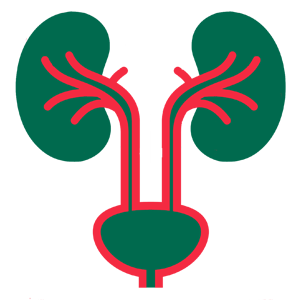 Urology, ইউরোলজি